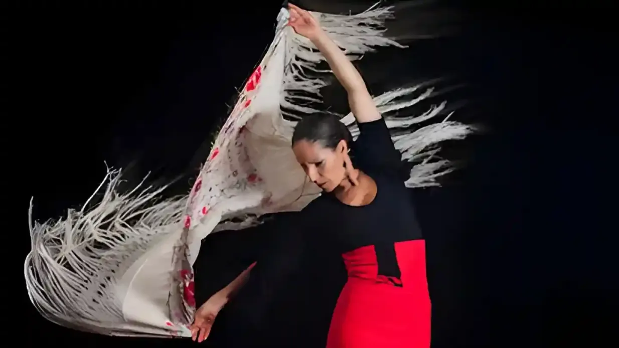Alhambra: Visita Guiada con Espectáculo Flamenco y Bebida + Transporte desde Granada
