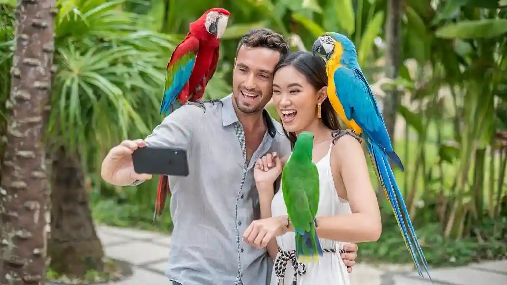 Parque de aves de Bali: Entrada Operado por Tiqets International B.V.