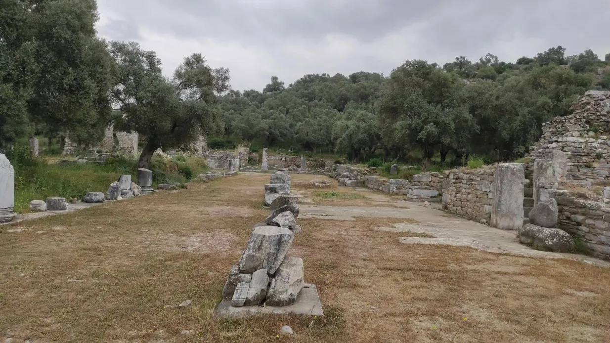 Ancient City Iasos: Half Day Tour from Bodrum Provided by Morning Tour Travel Services