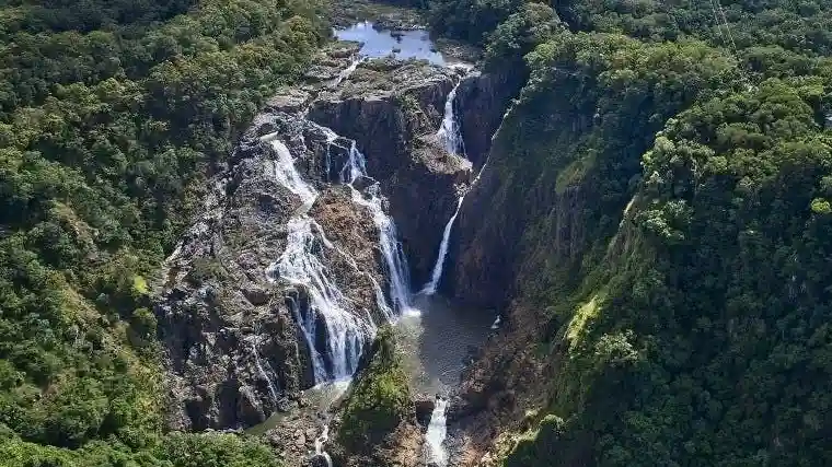 Cataratas Barron y humedales de Cattana: desde Cairns + teleférico o viaje en tren panorámico Operado por Down Under Tours