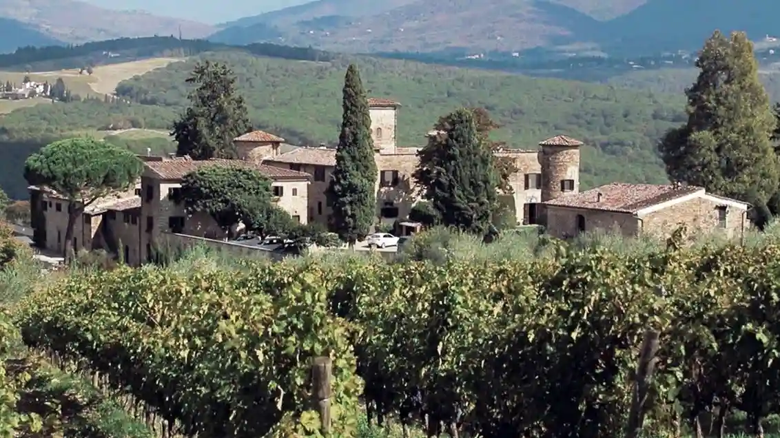 Chianti: Wine & Olive Oil Tasting with Guided Tour + Roundtrip from Florence Provided by Towns of Italy S.r.l.