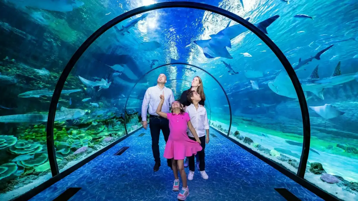 Das National Aquarium Abu Dhabi und der Adrenark-Abenteuerpass