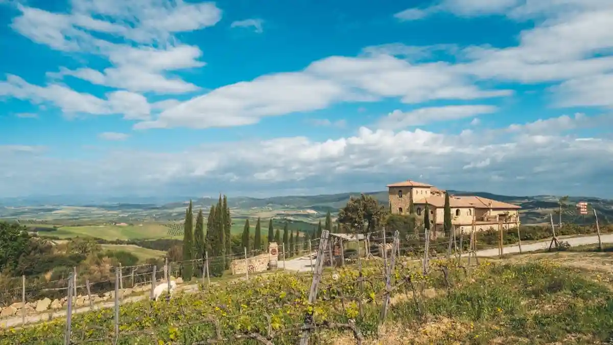 Maremma: Sangiovese Wine Tasting Provided by La Rocca SRL Soc. Agr.