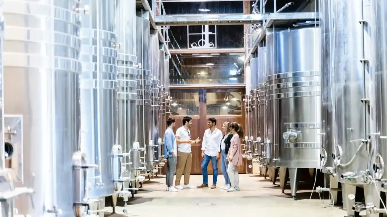 Lisboa: Visita guiada y cata de vinos + Experiencia en viñedos en jeep 4x4