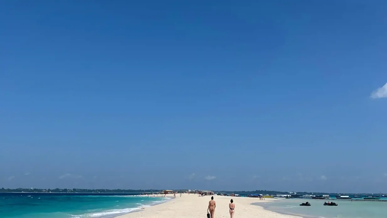 Zanzibar : Excursion d'une journée pour nager avec les dauphins