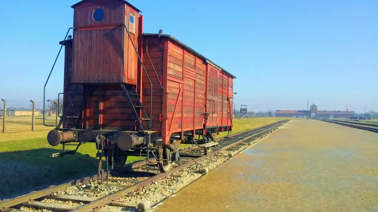 Auschwitz-Birkenau & Salzbergwerk Wieliczka: Führung + Transport