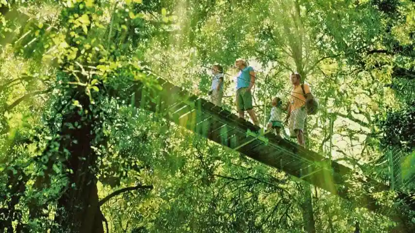 Parc national de Lamington, O'Reilly's et Vineyard : Excursion d'une journée depuis la Gold Coast Fournie par Southern Cross Tours