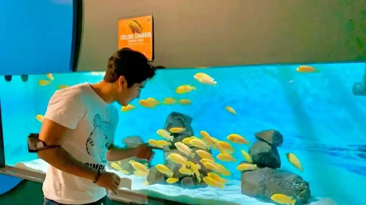 Michin Aquarium Puebla: Eintrittskarte