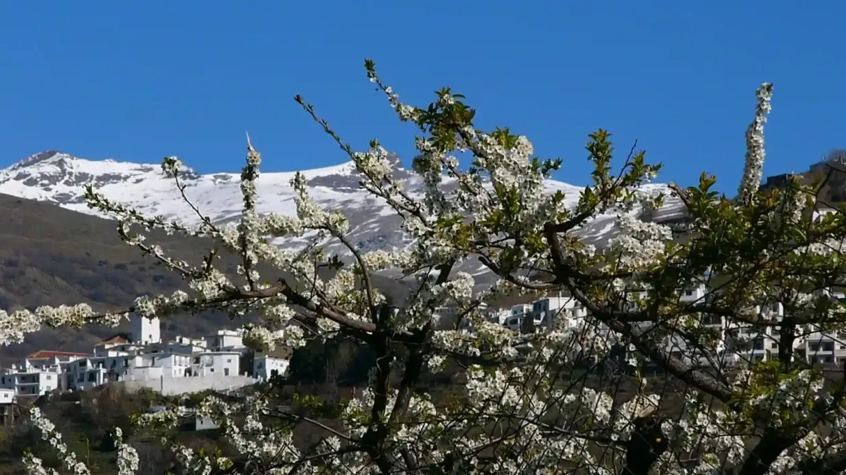 Alpujarra: Gita di un giorno + pranzo opzionale Fornito da MOVVIENDO TOURISM GROUP SL