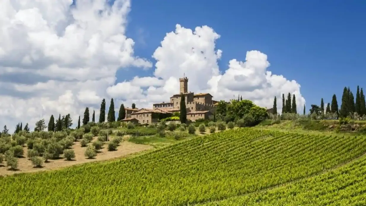 Chianti, Montalcino e San Gimignano: degustazione di vini e gita di un giorno da Siena Fornito da MY TOUR shpk