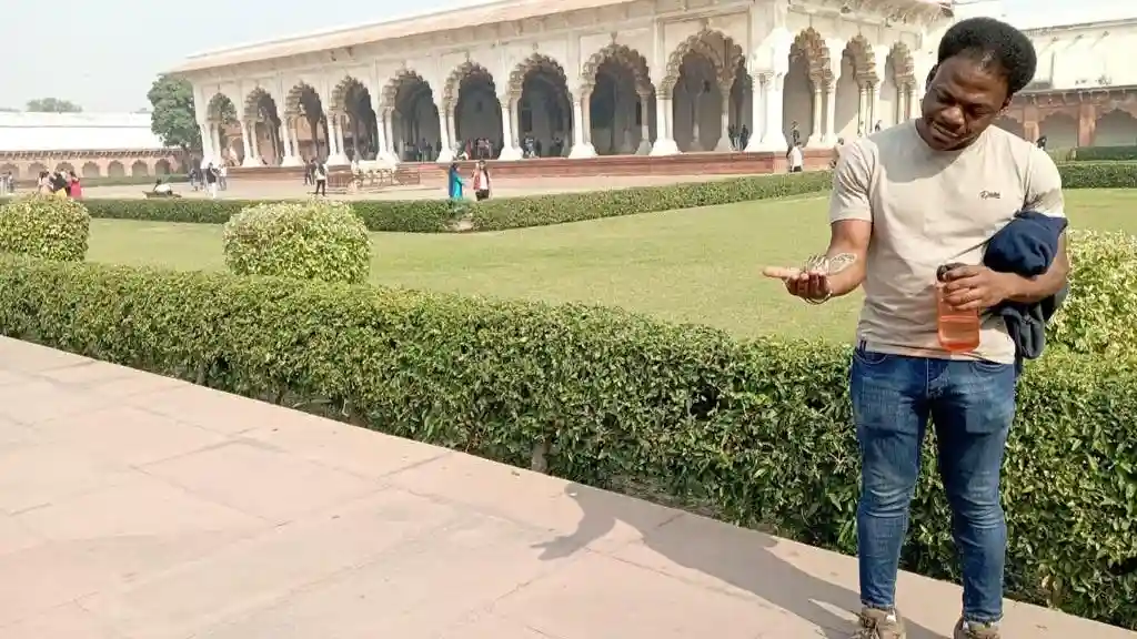 Agra: Excursión privada al Taj Mahal y al Fuerte de Agra al amanecer desde Delhi