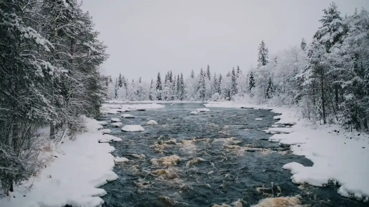 Wanderung in Vikakongas Bereitgestellt von Wonderlapland
