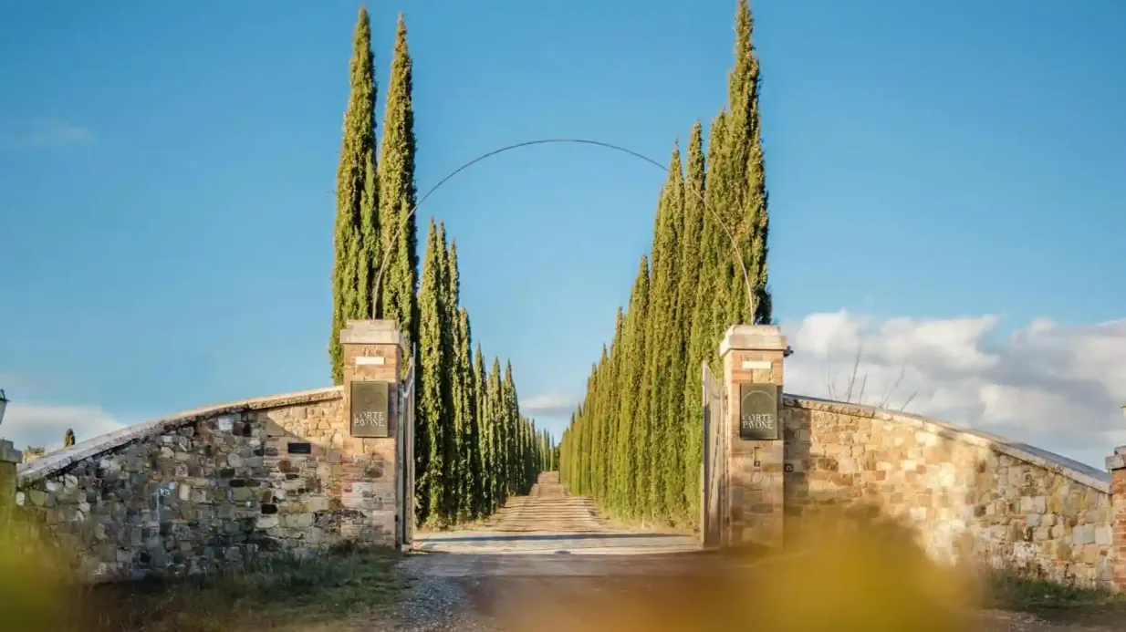 Weingut Corte Pavone: Geführte Kellereibesichtigung mit Montalcino-Weinverkostung Bereitgestellt von Corte Pavone Winery