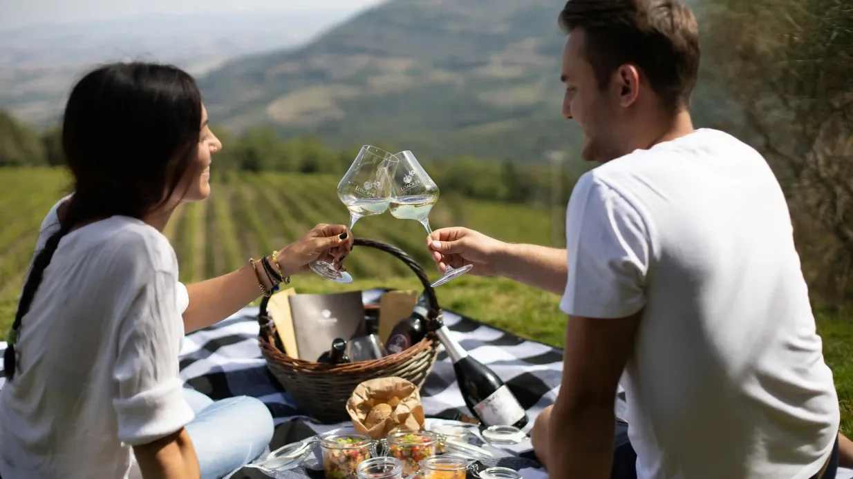 Domaine viticole Corte Pavone : Pique-nique avec vin et nourriture + visite guidée du vignoble Fournie par Corte Pavone Winery