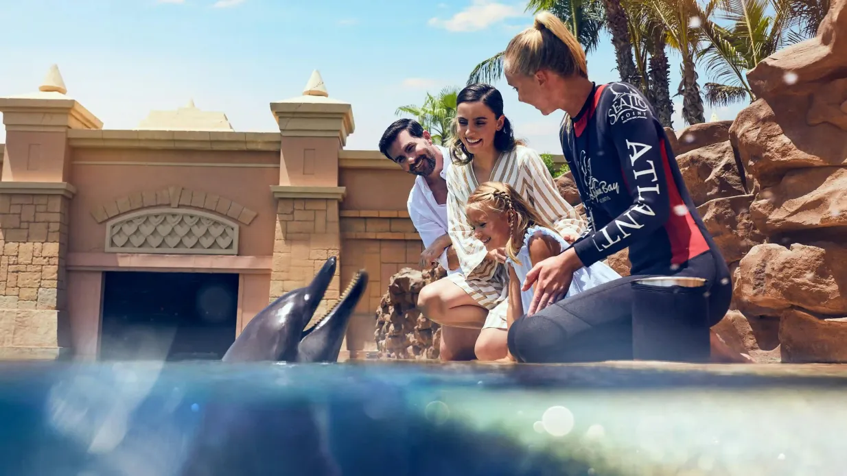 Aquaventure World : Pass journalier pour le parc aquatique + rencontre avec les dauphins