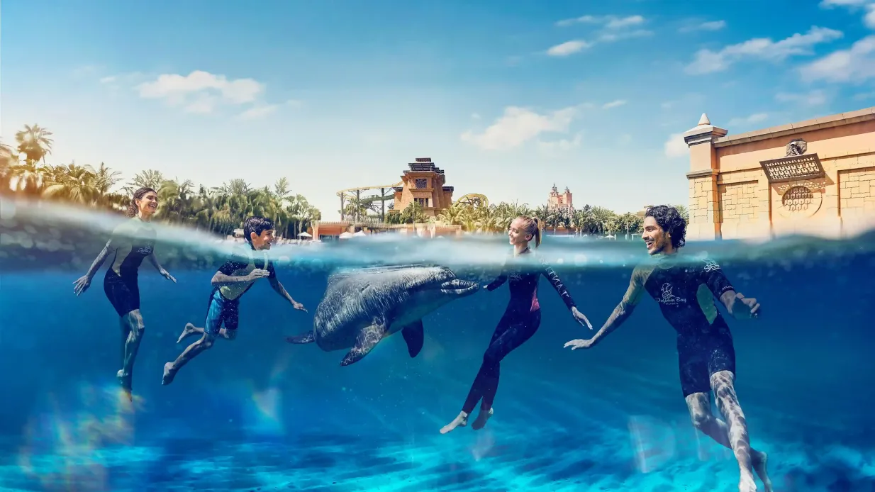Aquaventure World: Waterpark Day Pass + Dolphin Swim