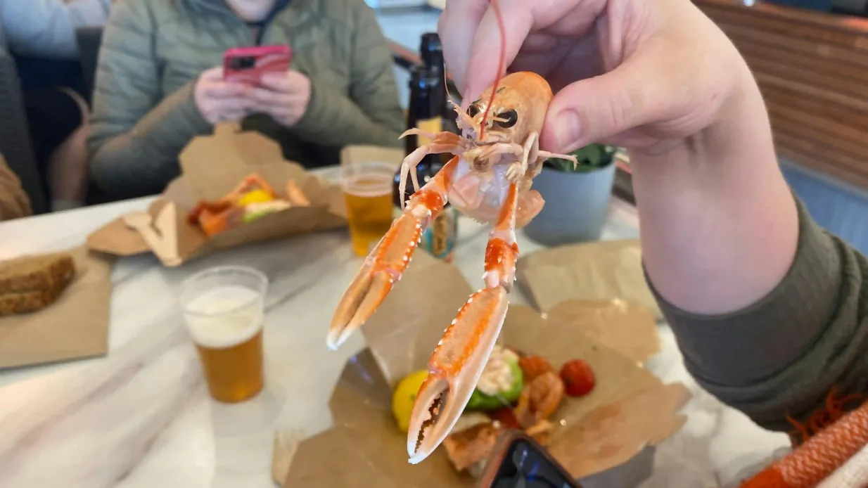 Percorso della birra artigianale e dei frutti di mare della costa di Dublino: Tour guidato