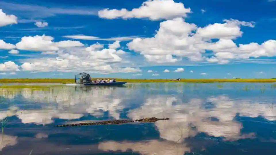 Everglades Express Tour ab Fort Lauderdale + Airboat Ride Bereitgestellt von See Sight Tours USD