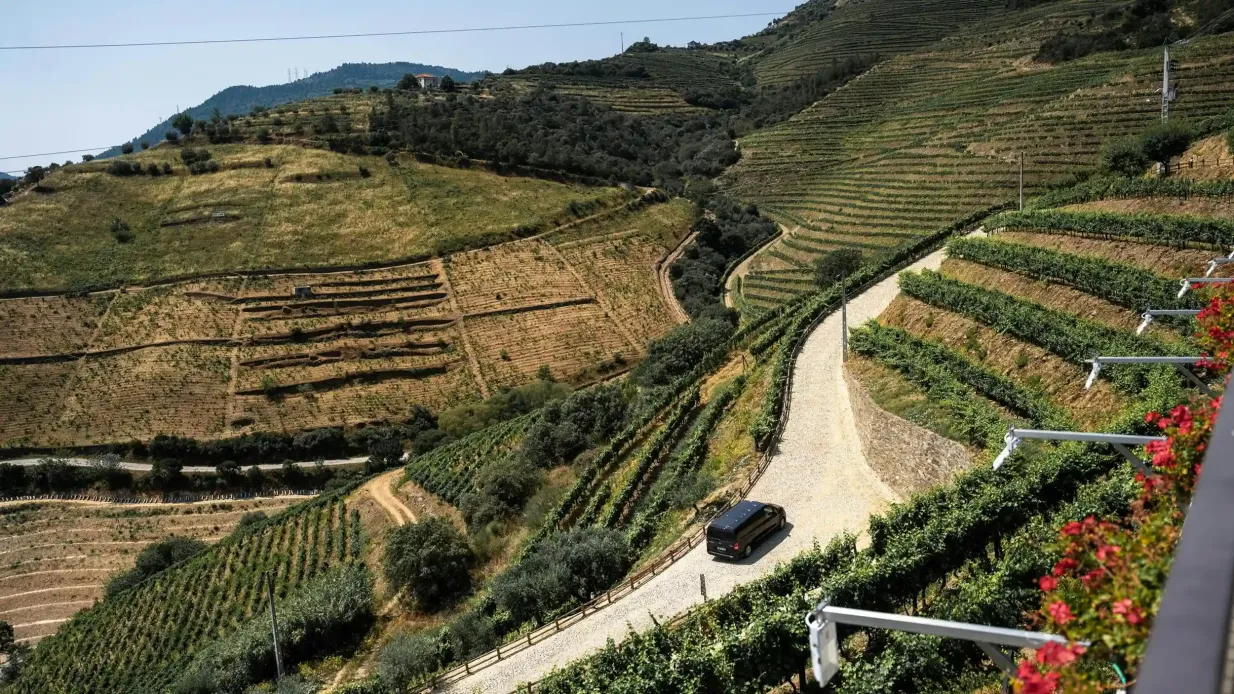Vallée du Douro : Circuit viticole en petit groupe au départ de Porto