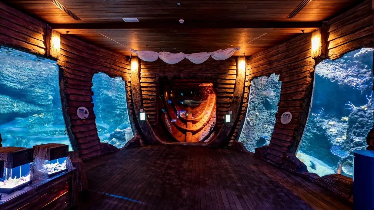 O Aquário Nacional de Abu Dhabi e o Pixoul Gaming Hub