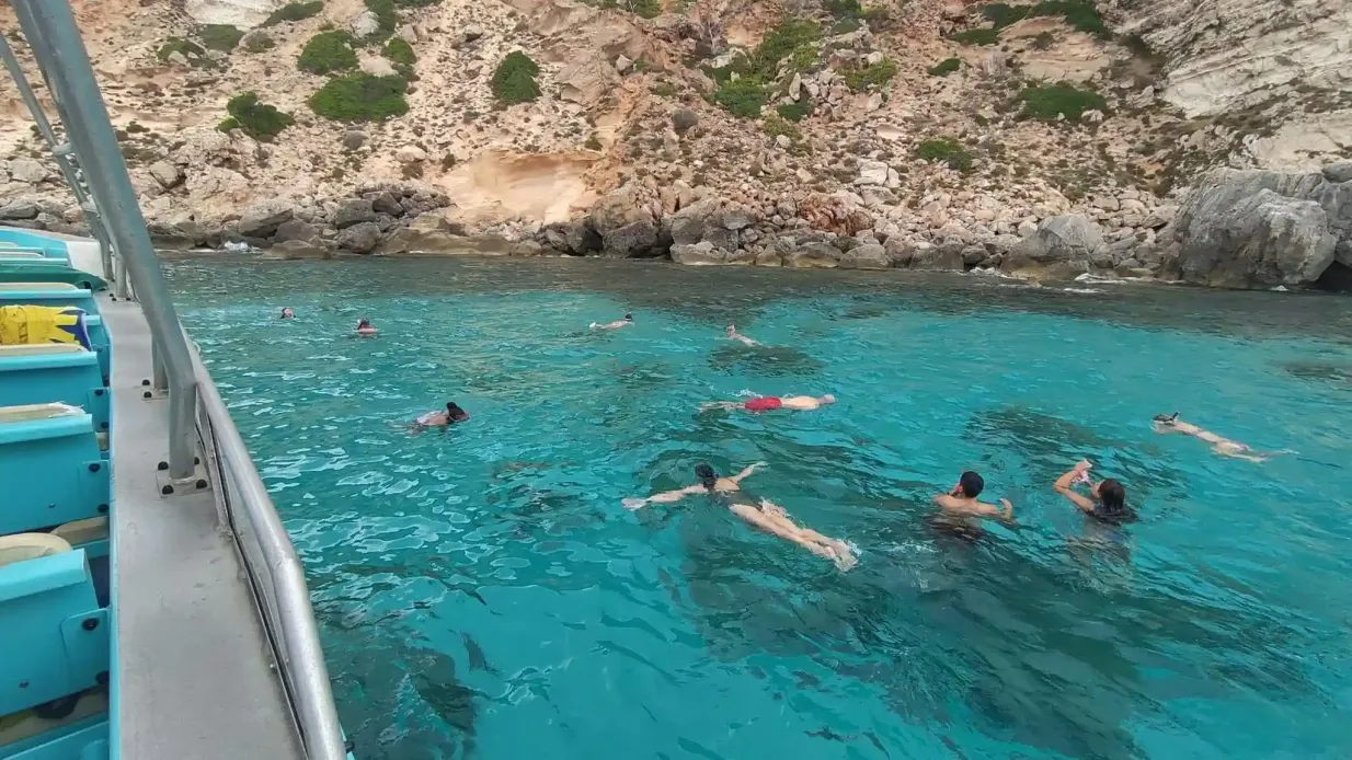 Palma de Mallorca: 3-Hr Dolphin Watching Boat Excursion + Swim & Snorkelling Provided by Armadores de Paguera SL
