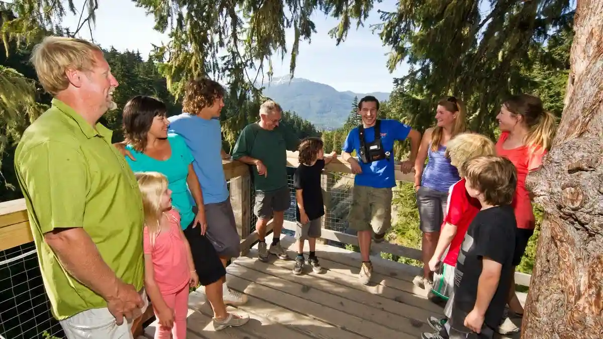 Whistler ZipTrek Ecotours: TreeTrek Adventure Provided by Ziptrek Ecotours Inc.