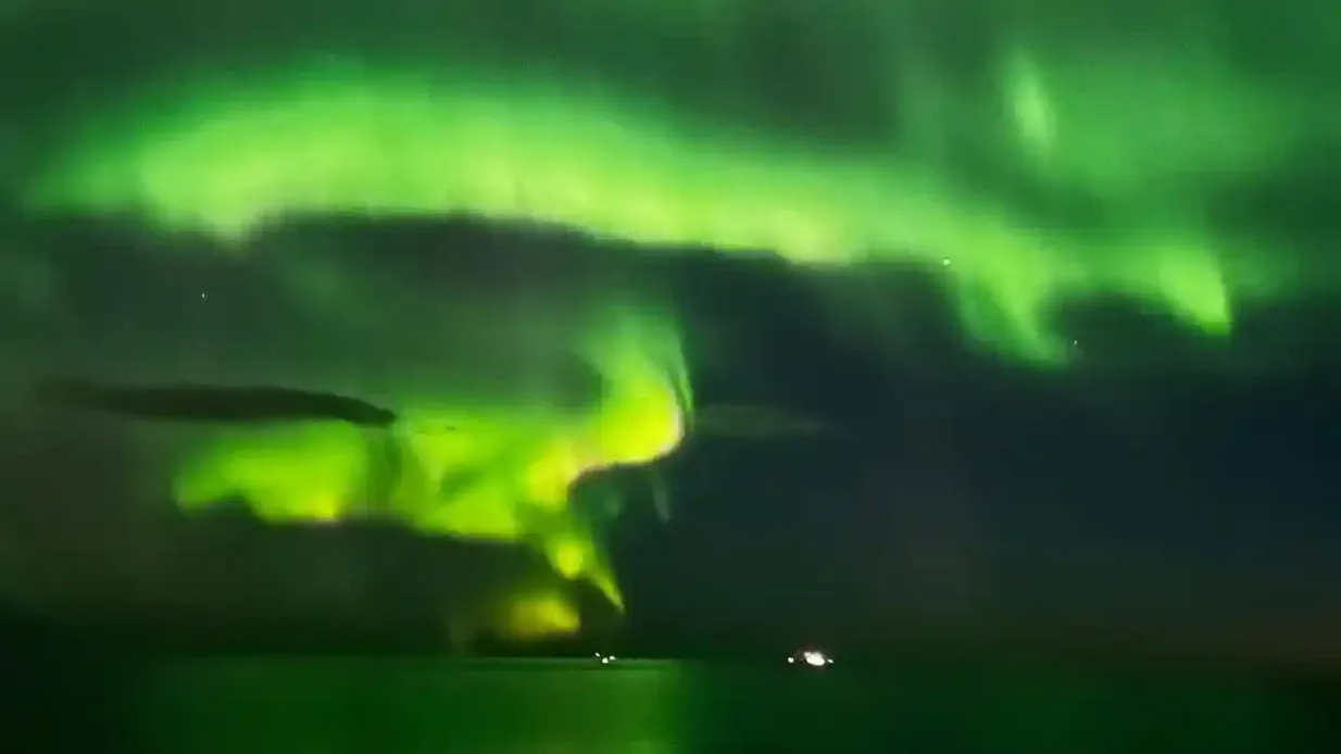 Northern Lights: 2-Hr Boat Tour + Alternative Bus Tour