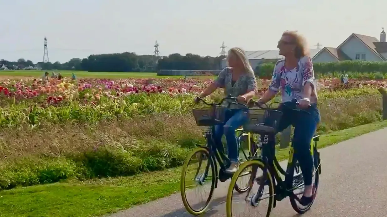 La regione dei bulbi: Giardini di Dalia, Mulini a vento e Castello Tour in bicicletta Fornito da Dutchexperiencetour.com