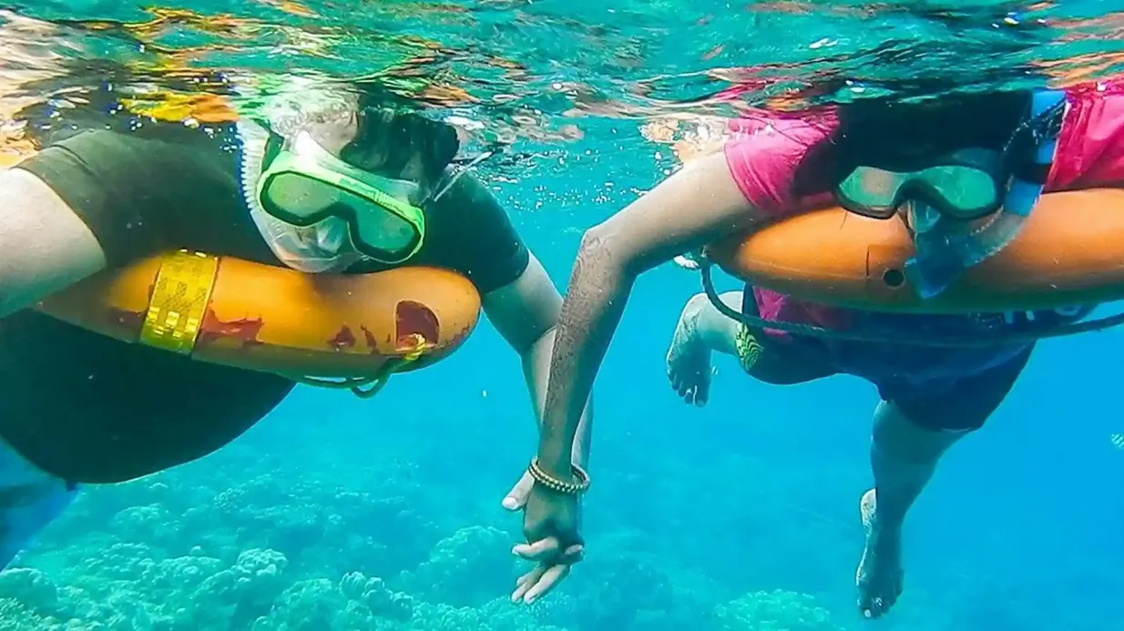 Key West: excursión de un día desde Miami + paseo en barco opcional para hacer snorkel o avistar delfines Operado por Attractions4Us LLC