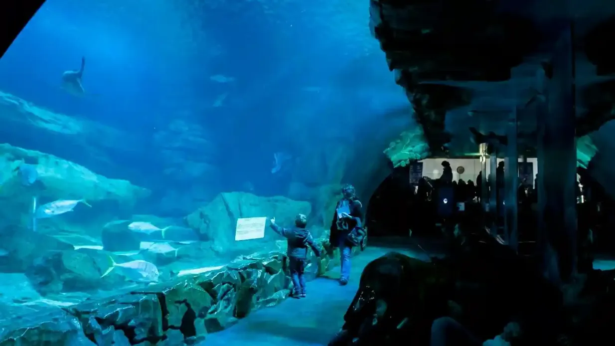 Aquarium de París: Pase anual Operado por Aquarium de Paris SAS