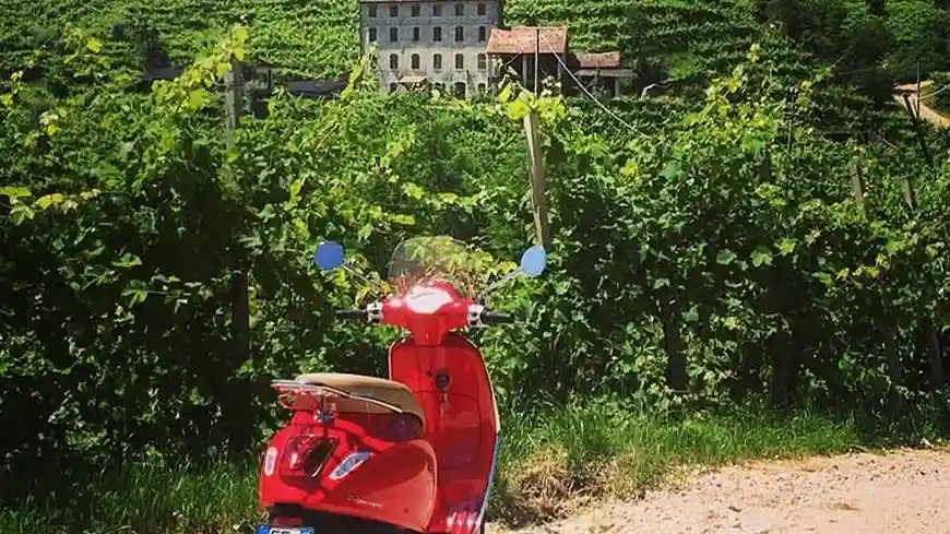 Chianti: Tour panoramico in Vespa + biglietti per la degustazione di vini