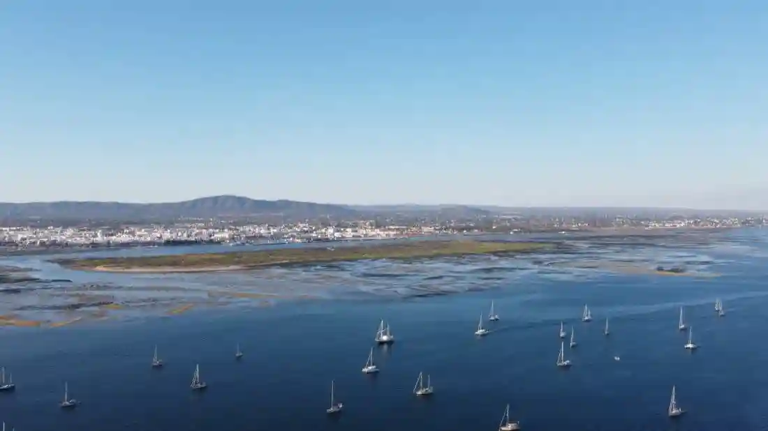 Isla de Ria Formosa: Excursión en barco desde Olhão