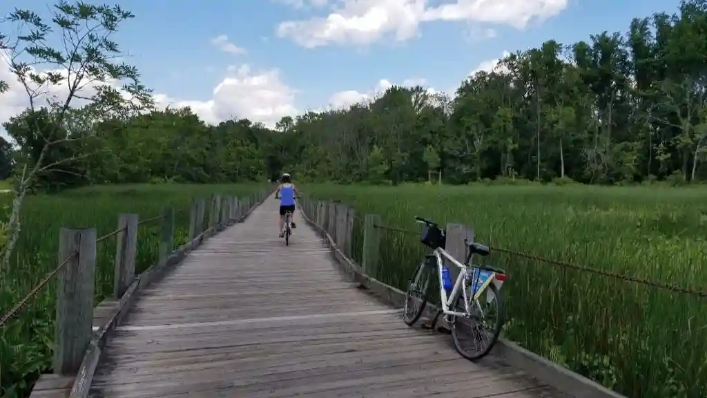 Alquiler de bicicletas a Mount Vernon