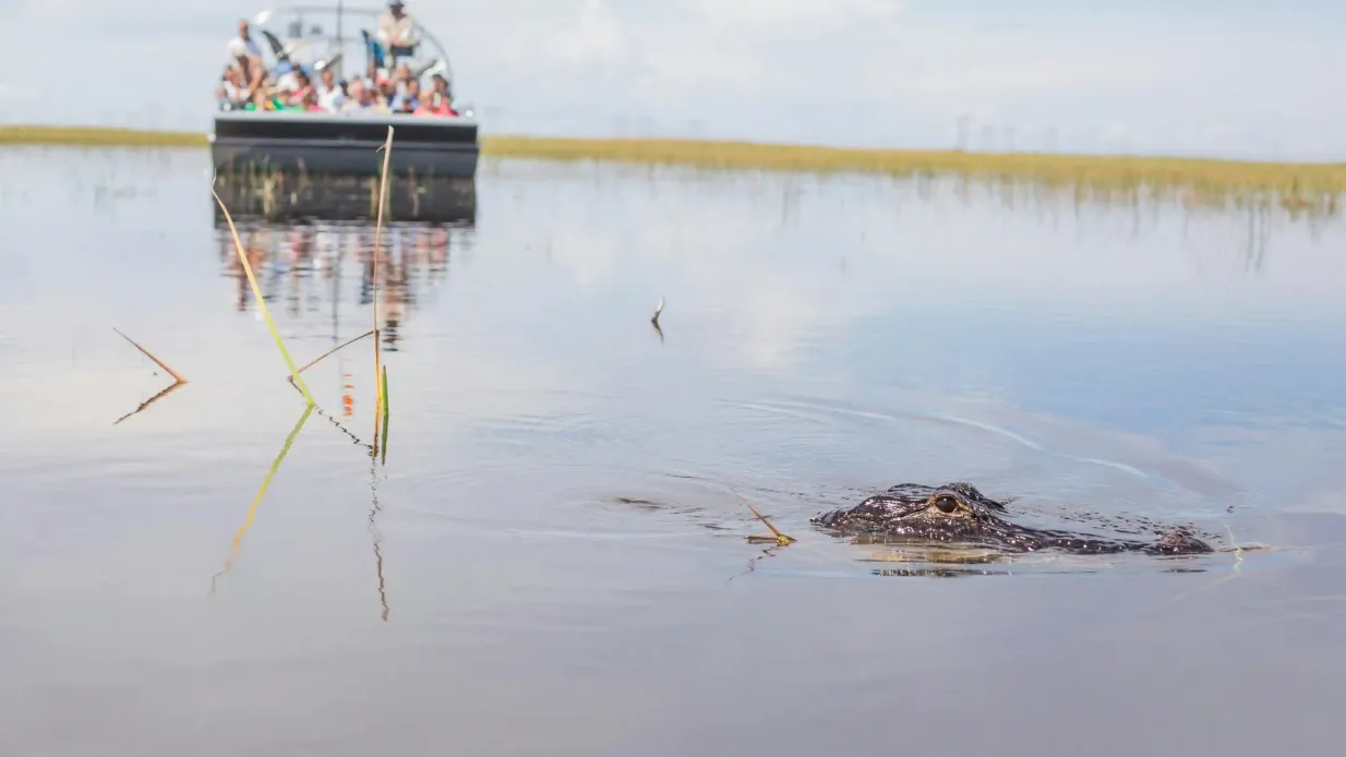 Fort Lauderdale: Paquete Aventura en los Everglades de Florida Operado por Sawgrass Recreation Park