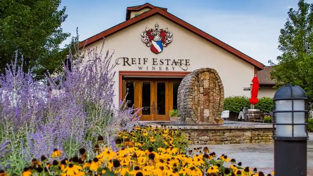 Weingut Reif Estate: Premium-Weinverkostung Bereitgestellt von Reif Estate Winery