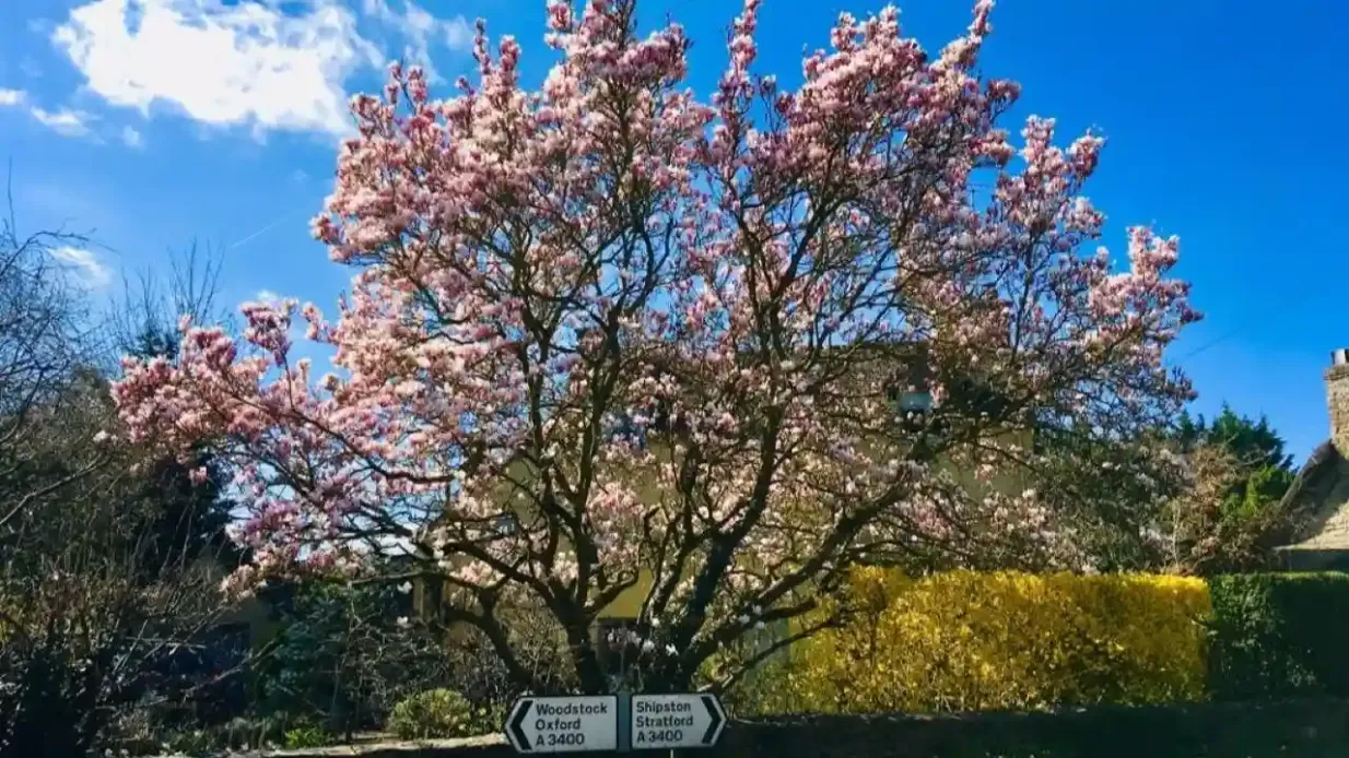 Cotswolds : Circuit en petit groupe au départ de Londres avec Bourton-on-the-Water