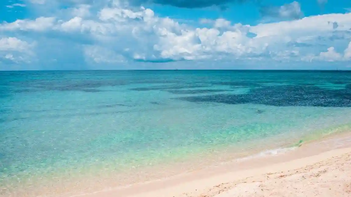 Cozumel: Glass Boat, Drinks and Snorkel Tour
