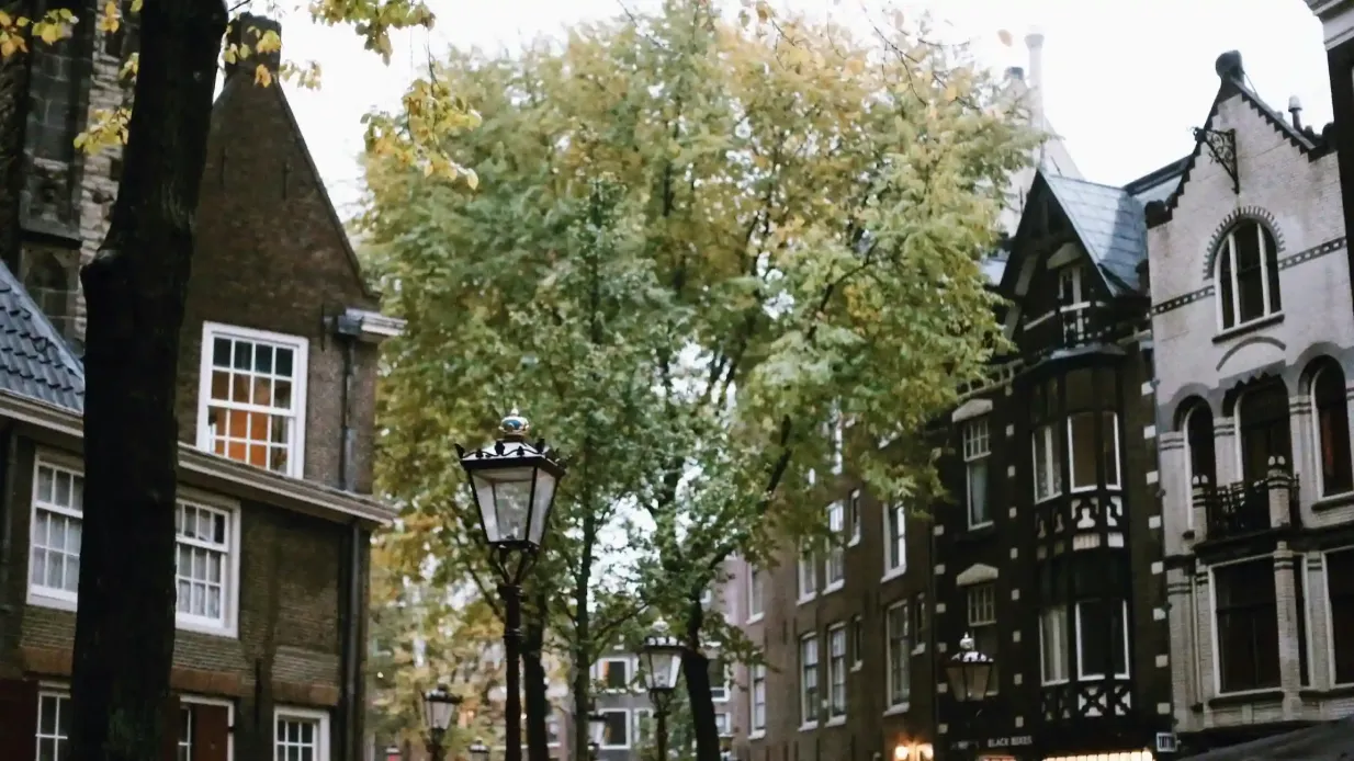 Amsterdam: Small Group City Walking Tour Provided by Babylon Tours