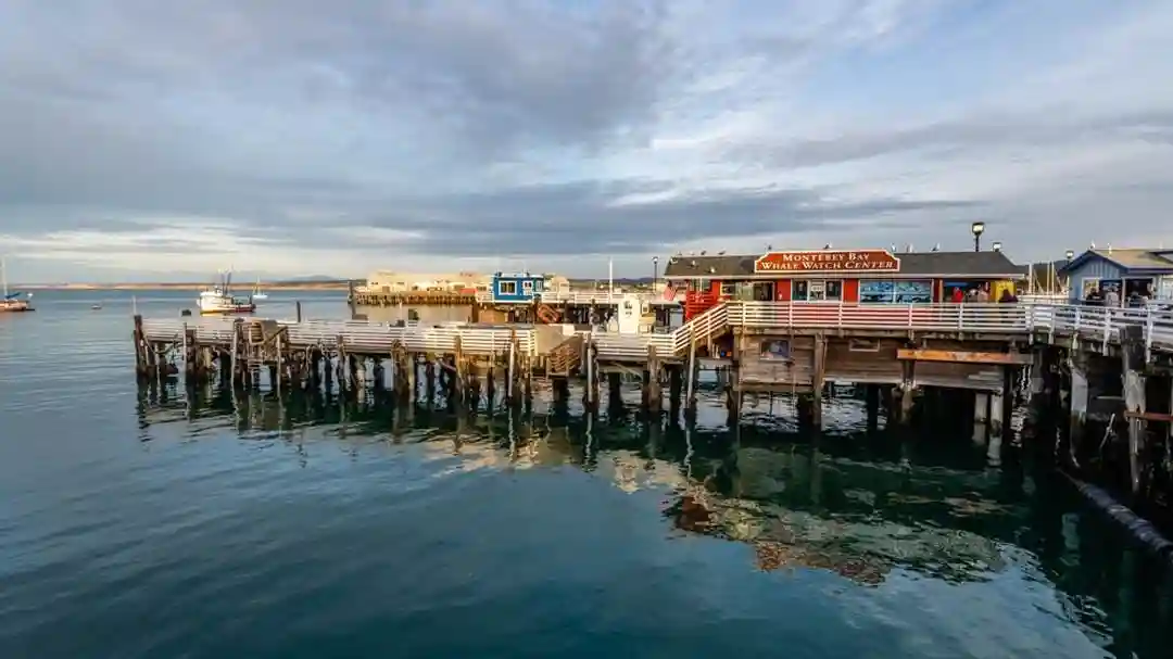 From San Francisco: Full Day Monterey and Carmel Tour Provided by Epic Sightseeing, LLC