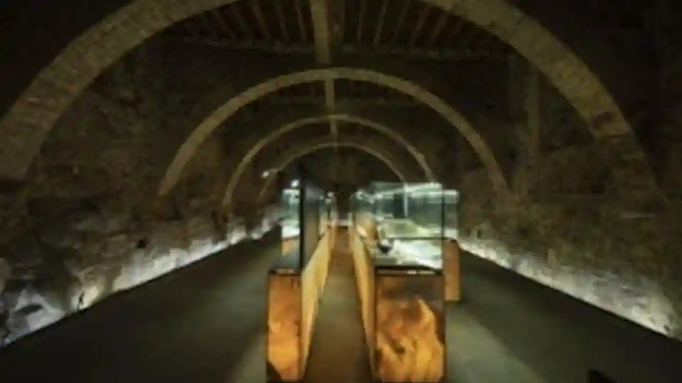 Temple du Brunello et dégustation de vins Fournie par Tiqets International B.V.