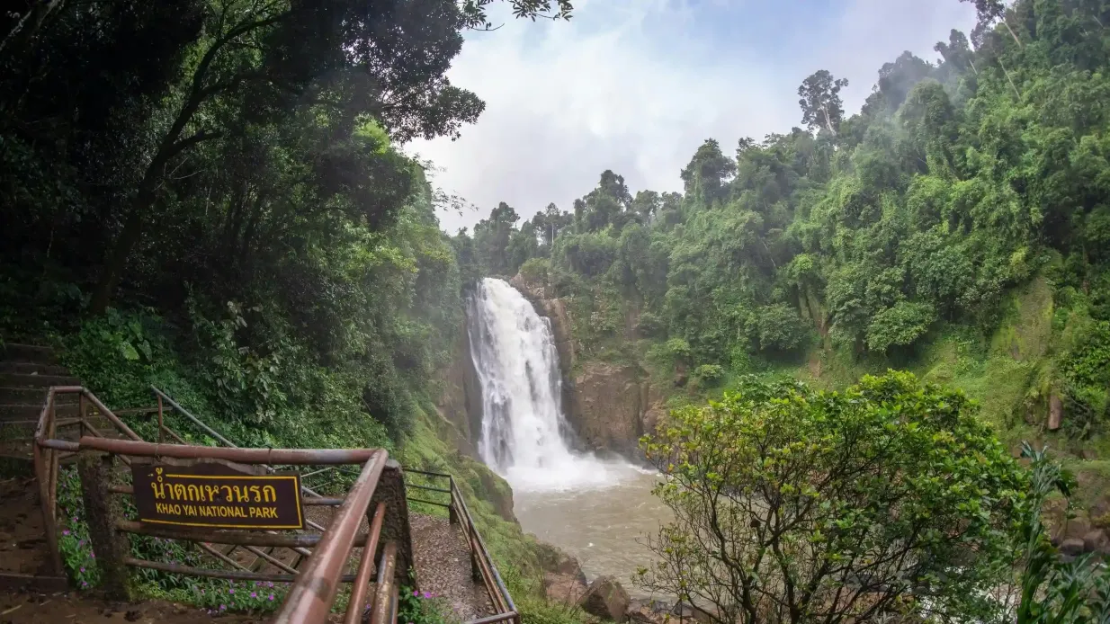 Khao Yai National Park Tour from Bangkok – Full Day Provided by TripGuru