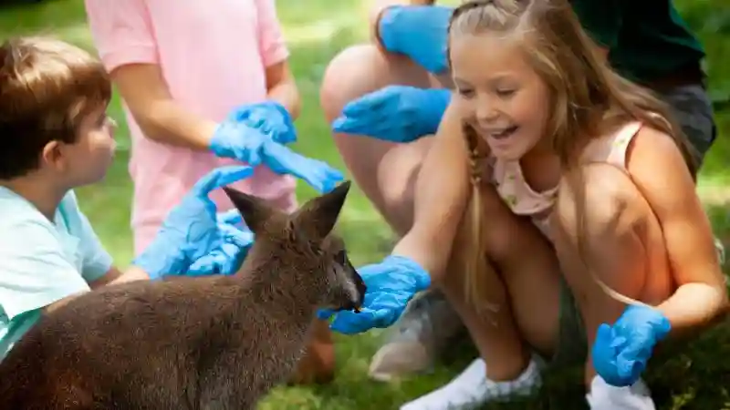 Rencontre avec un kangourou et un wallaby Fournie par Wheeling Park Commission