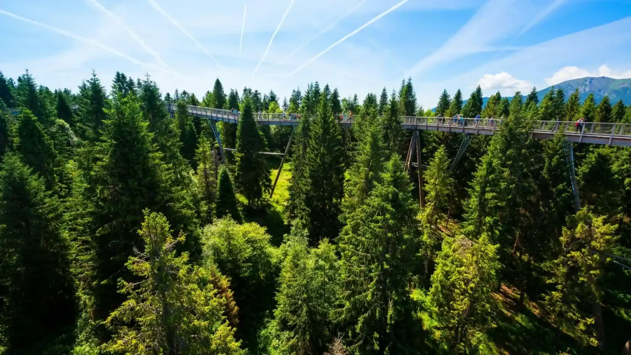 Zdiar : Treetop Walk Bachledka Private Tour from Krakow Provided by Damian Fort CTC
