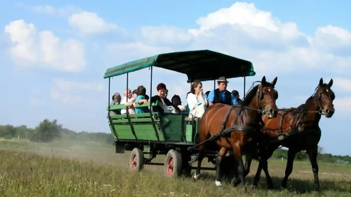 Tour di una giornata intera della Puszta da Budapest con spettacolo di cavalli e pranzo Fornito da Eurama Kft