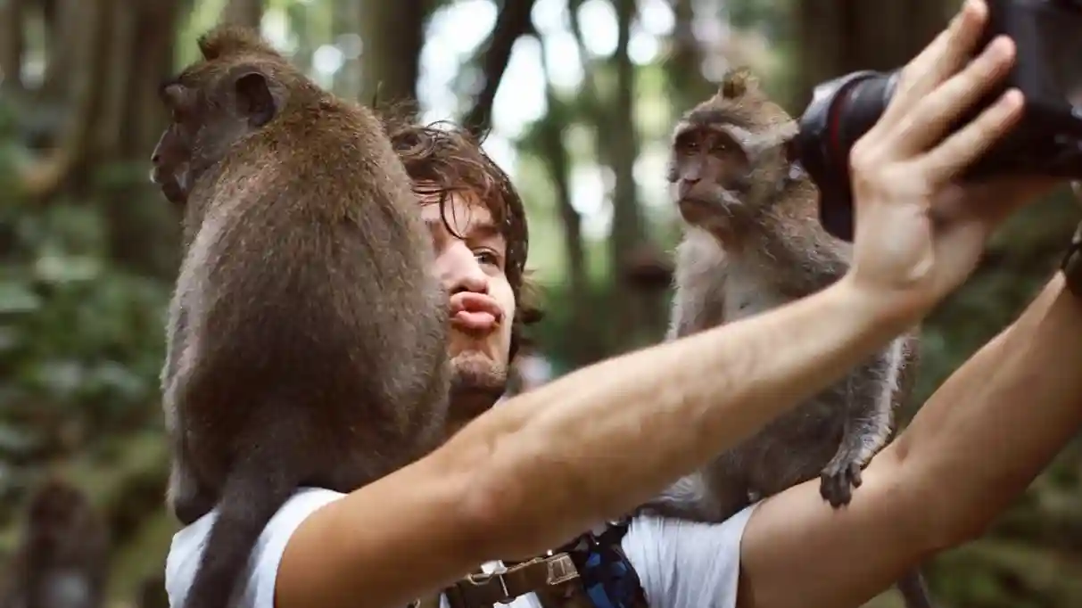 Bali : Cascade de Leke-Leke, forêt de singes et balade dans la jungle avec transfert Fournie par CV. Tripgotik