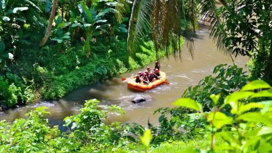 Rafting en eau vive sur la rivière Ayung Fournie par CV. Tripgotik