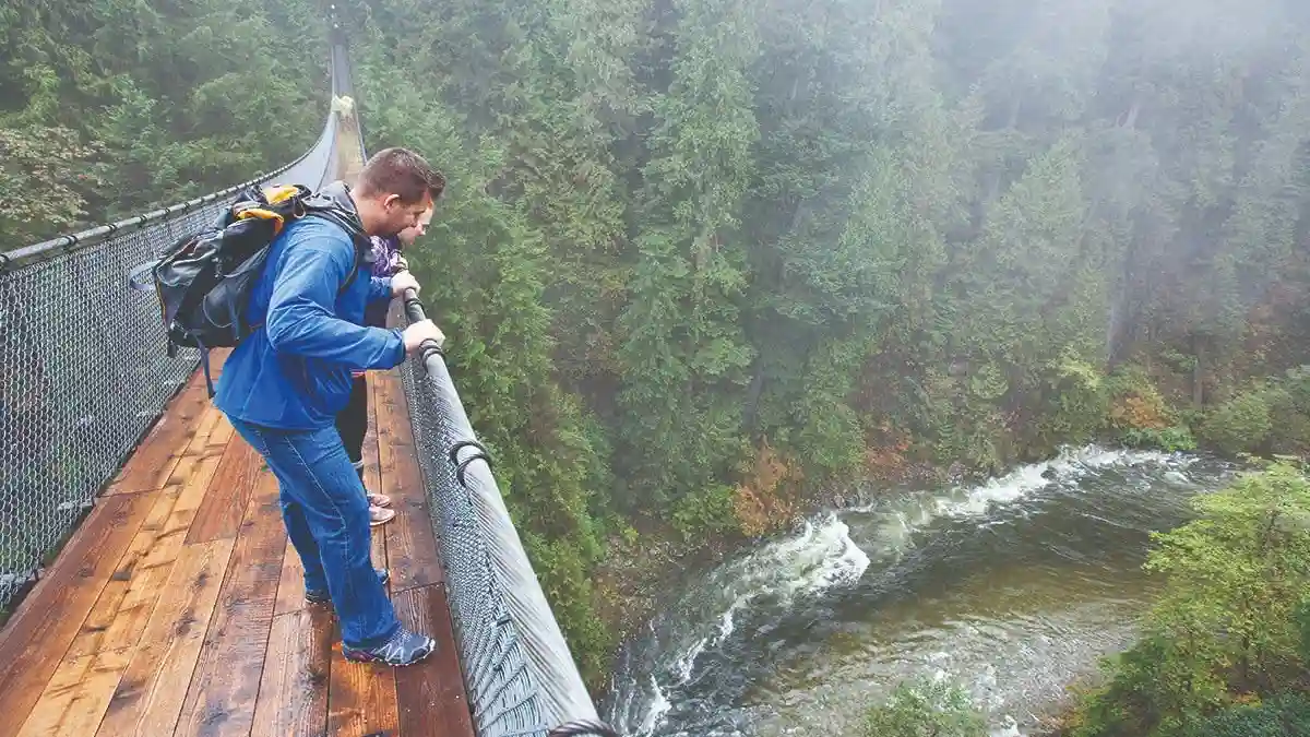 Vancouver: City Highlights Tour + Vancouver Lookout & Capilano Suspension Bridge Provided by Discover Banff Tours