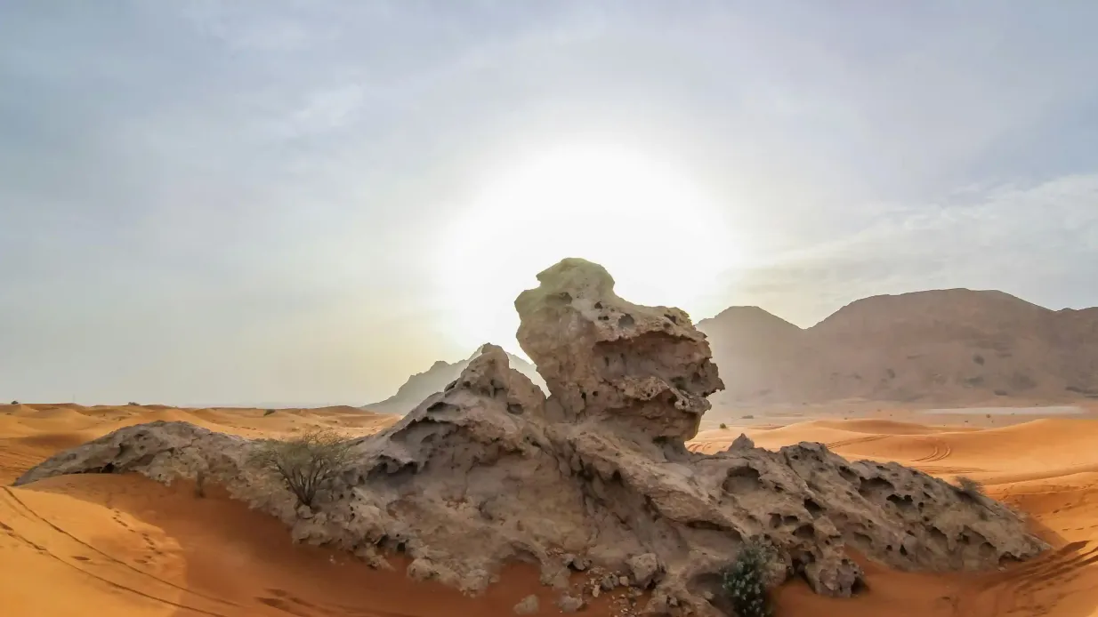 Hatta Safari saindo de Dubai: Barragem, Heritage Village, Honey Garden e café da manhã