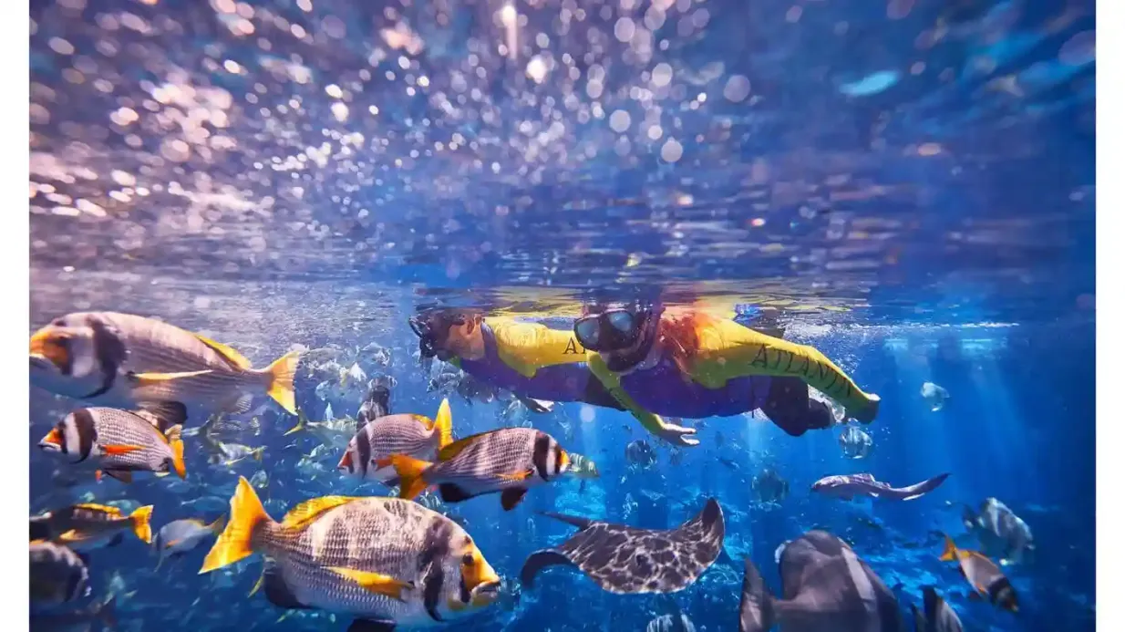 Aquarium der verlorenen Welt: Tauchen & Schnorcheln Erlebnisse