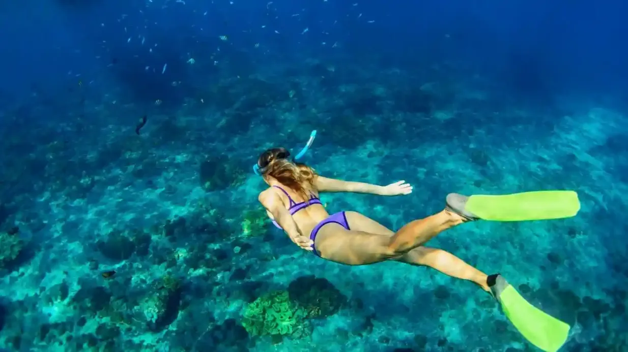 Padang Bai : Lagon bleu et Tanjung Jepun Snorkeling avec déjeuner et transfert Fournie par CV. Tripgotik